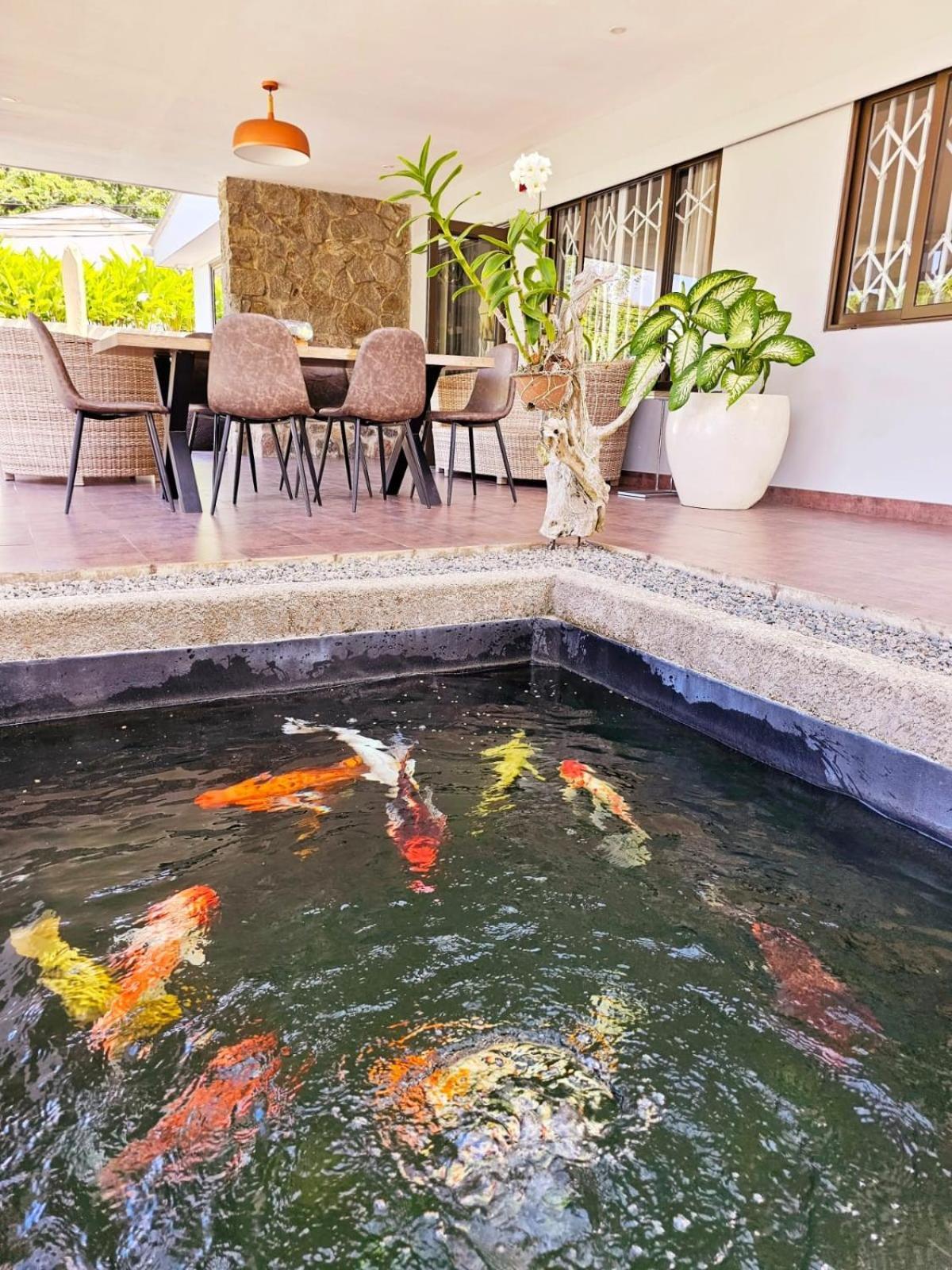 Villa Elodia By Le Duc Hotel & Villas Pointe Au Sel Extérieur photo